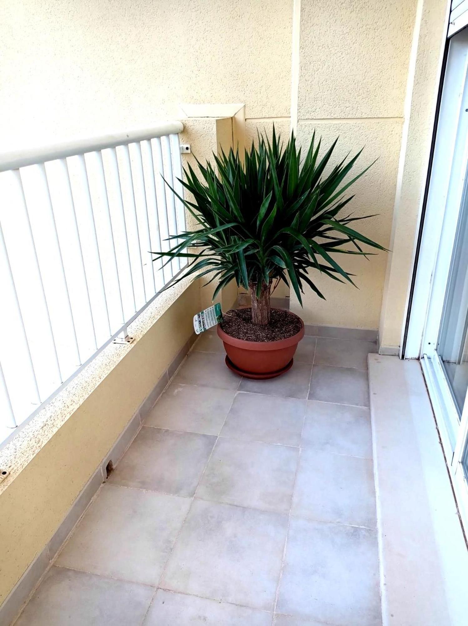 Apartamento Playasol Denia Luaran gambar